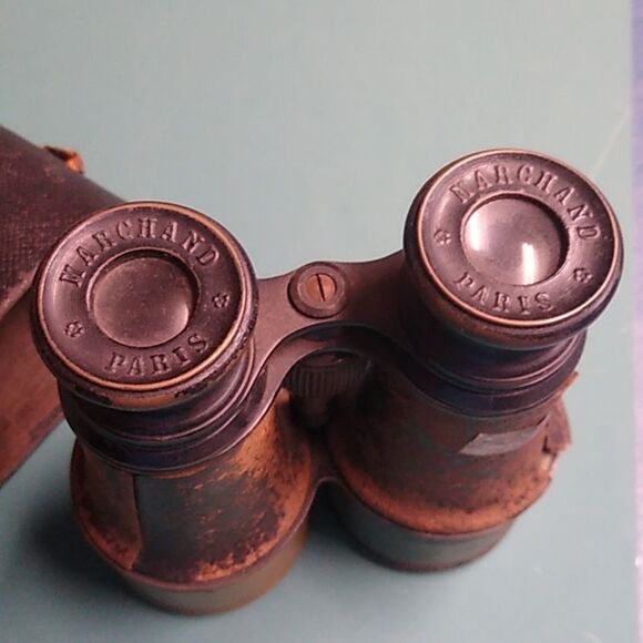 Vintage Leather Case Binoculars Cottagecore Country Outside Bird Watching - Picture 2 of 6